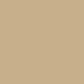 Керамогранит RW15 30x30 Непол.Рект.