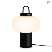 Настольный светильник Freya FR6175TL-L10B