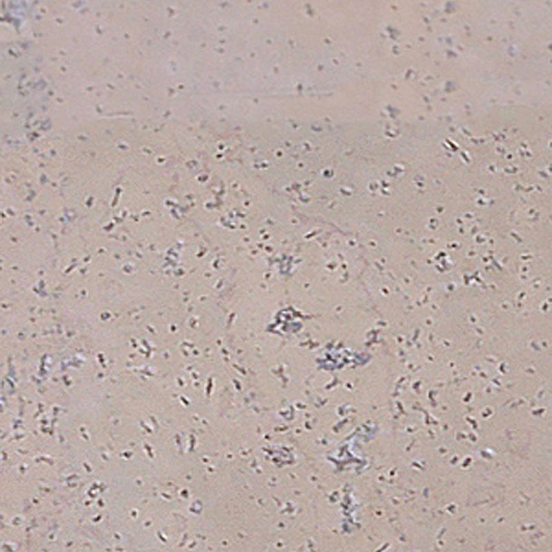 Пробковый пол Corkart Narrow Plank HDF CU3 186w WC X