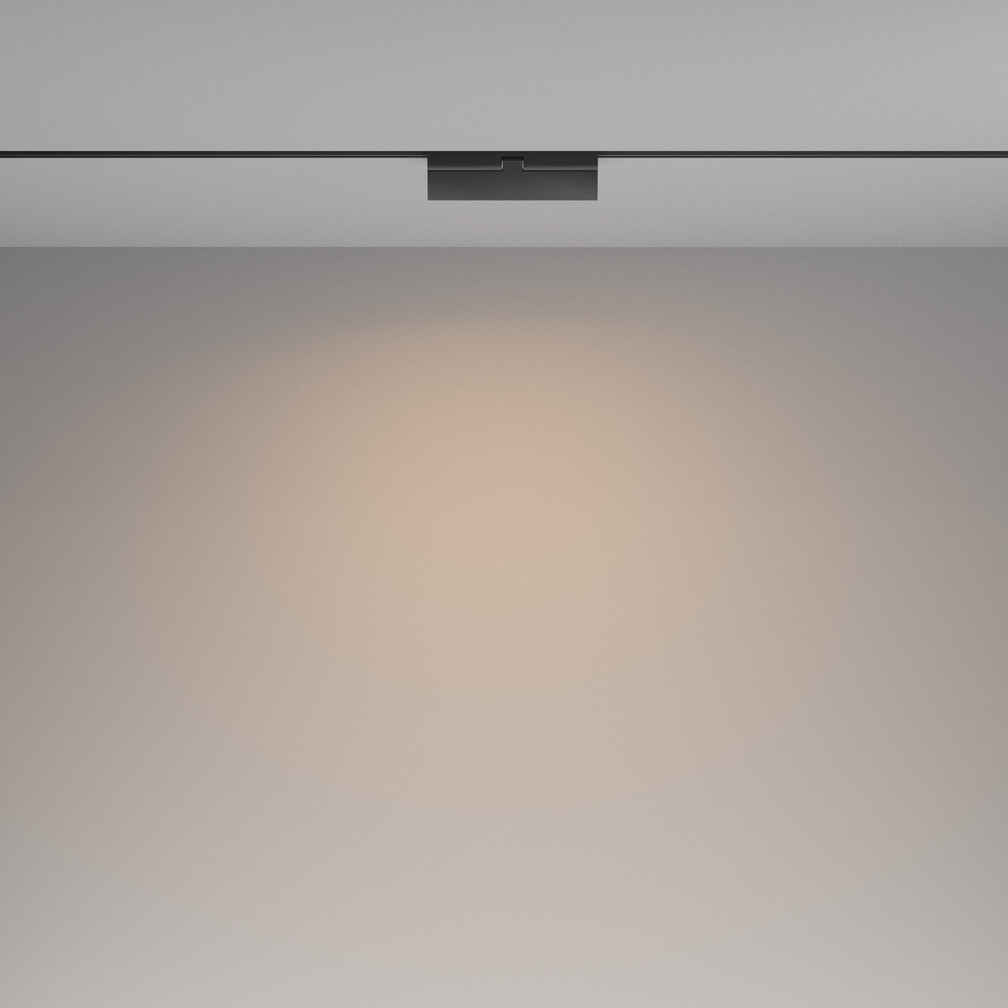 Трековый светильник Technical TR036-4-12WTW-DSZ-B