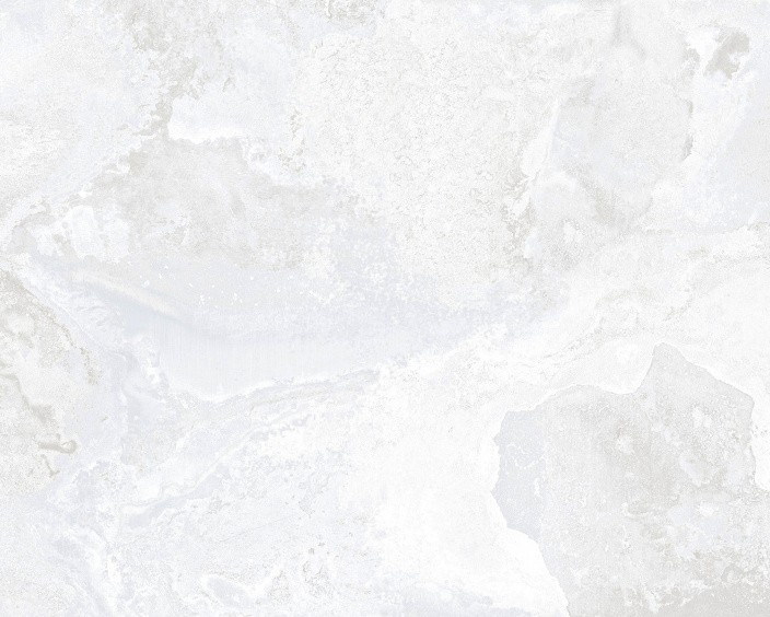 Керамогранит NT CERAMIC AXION METALIA SNOW NTTVL99822ME