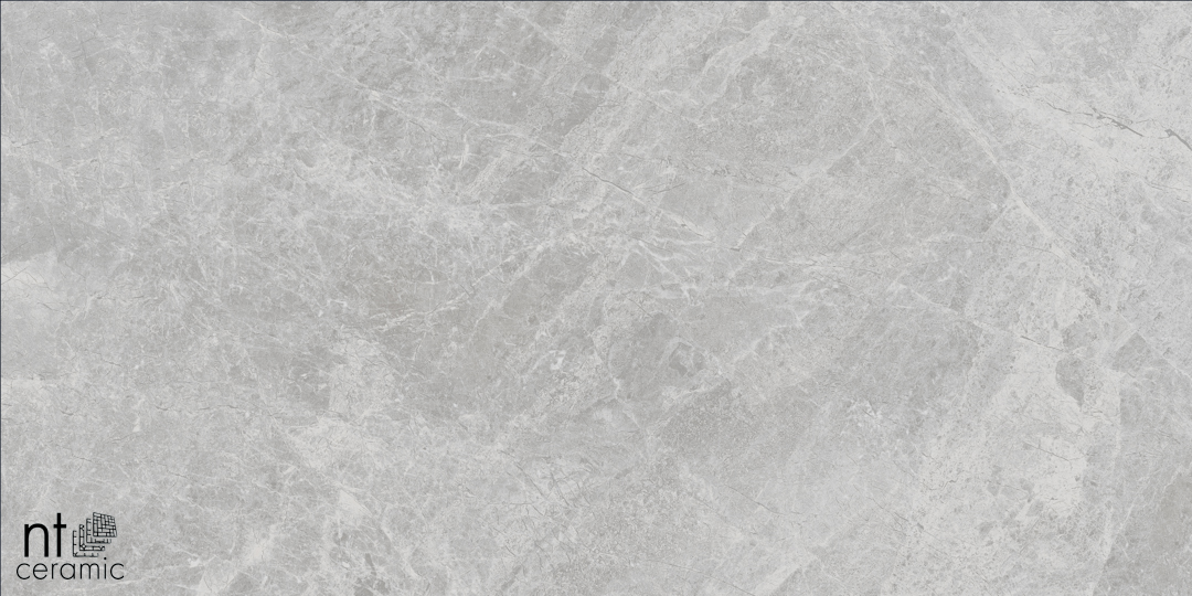 Керамогранит NT CERAMIC Bright and Shiny Tundra Pearl mat NTT9118M