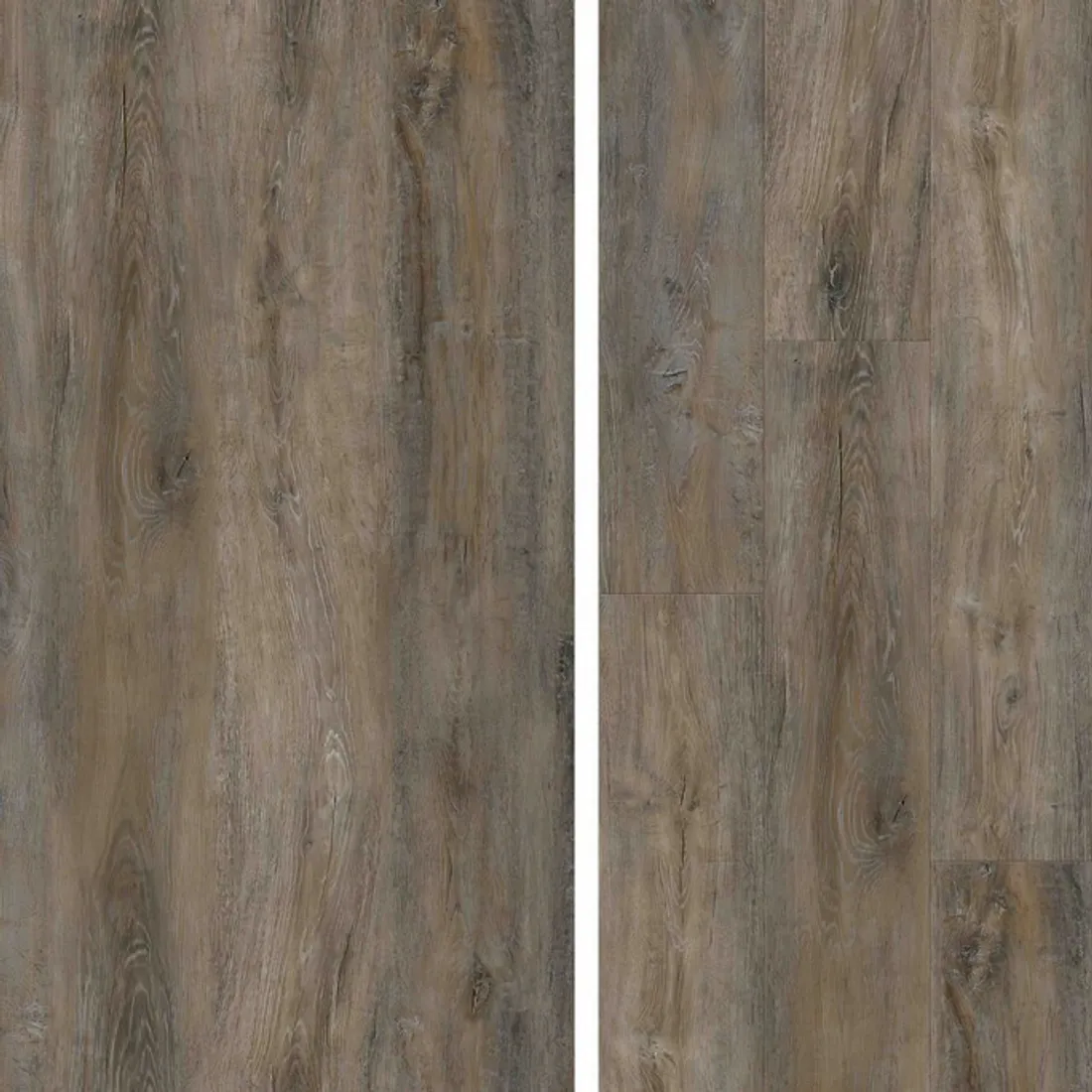 SPC Ламинат Evofloor  Home (Rus) Oak Ashen