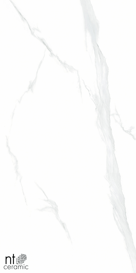 Керамогранит NT CERAMIC Bright and Shiny Statuario NTT9106P