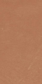 Керамогранит Anti-Slip Argillae Coral Rect 30х60