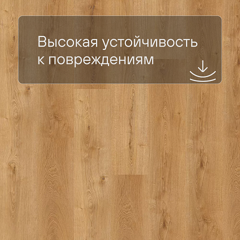 SPC Ламинат Quick-Step Oasis OSPC 20264 Дуб пустынный