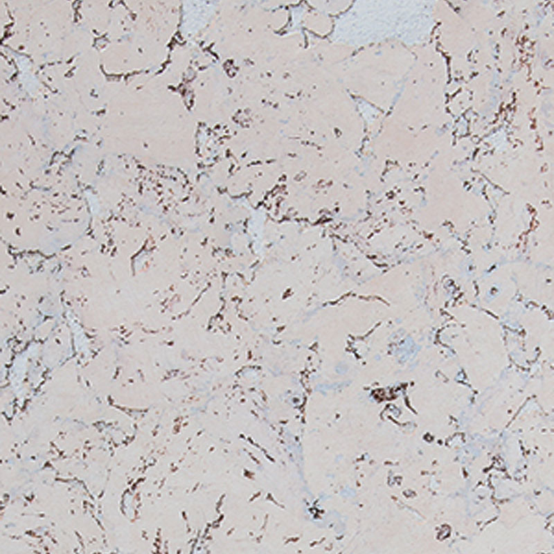 Пробковое настенное покрытие Corkart Classic PW3 324c WS-3.0