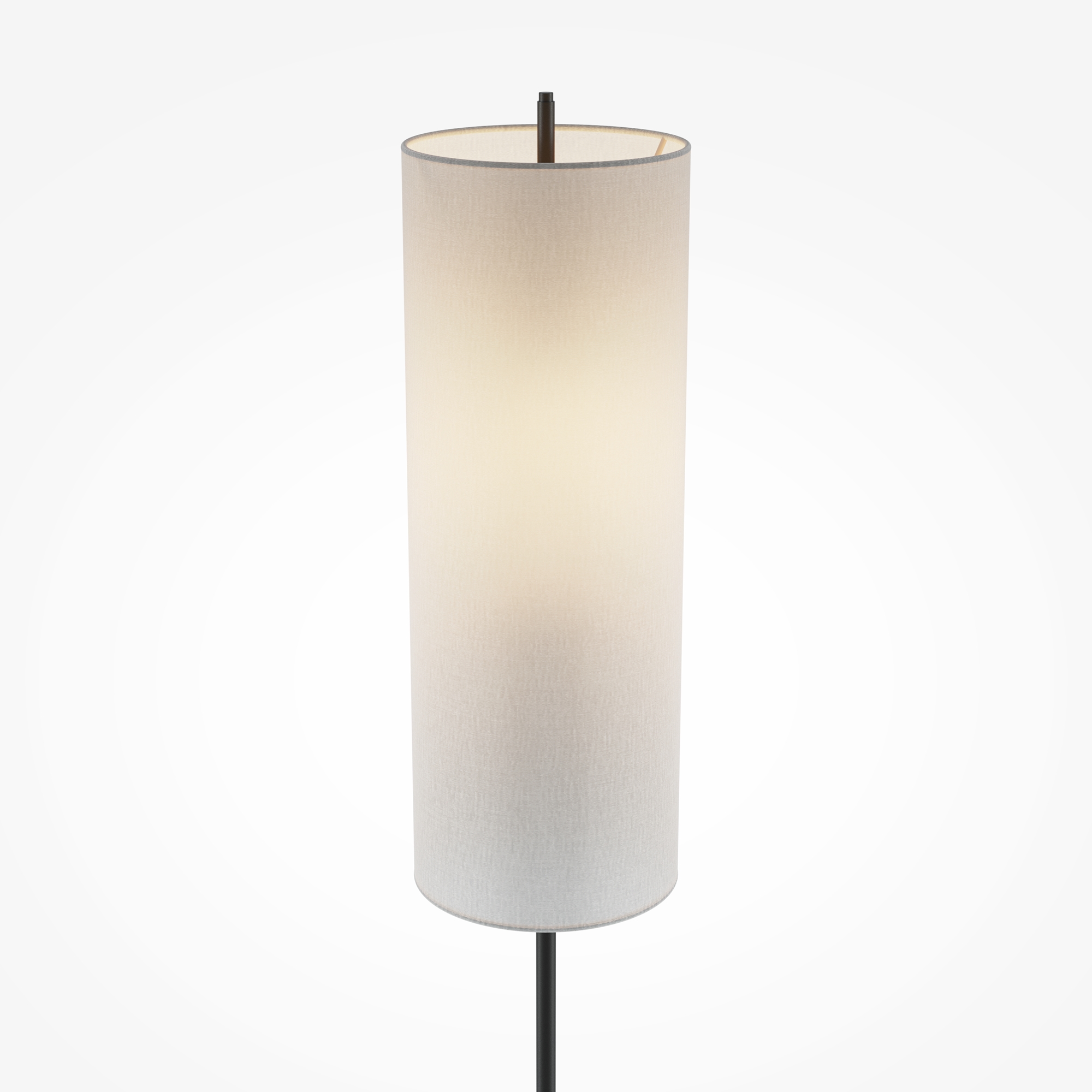 Напольный светильник (торшер) Maytoni MOD437FL-01B