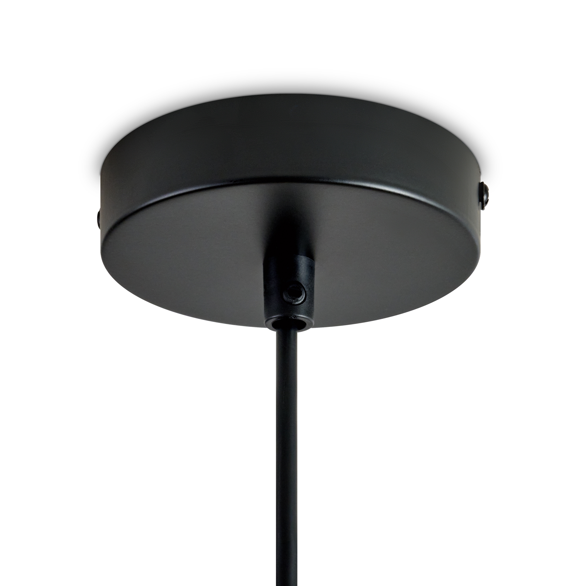 Подвесной светильник Freya FR5595PL-01B