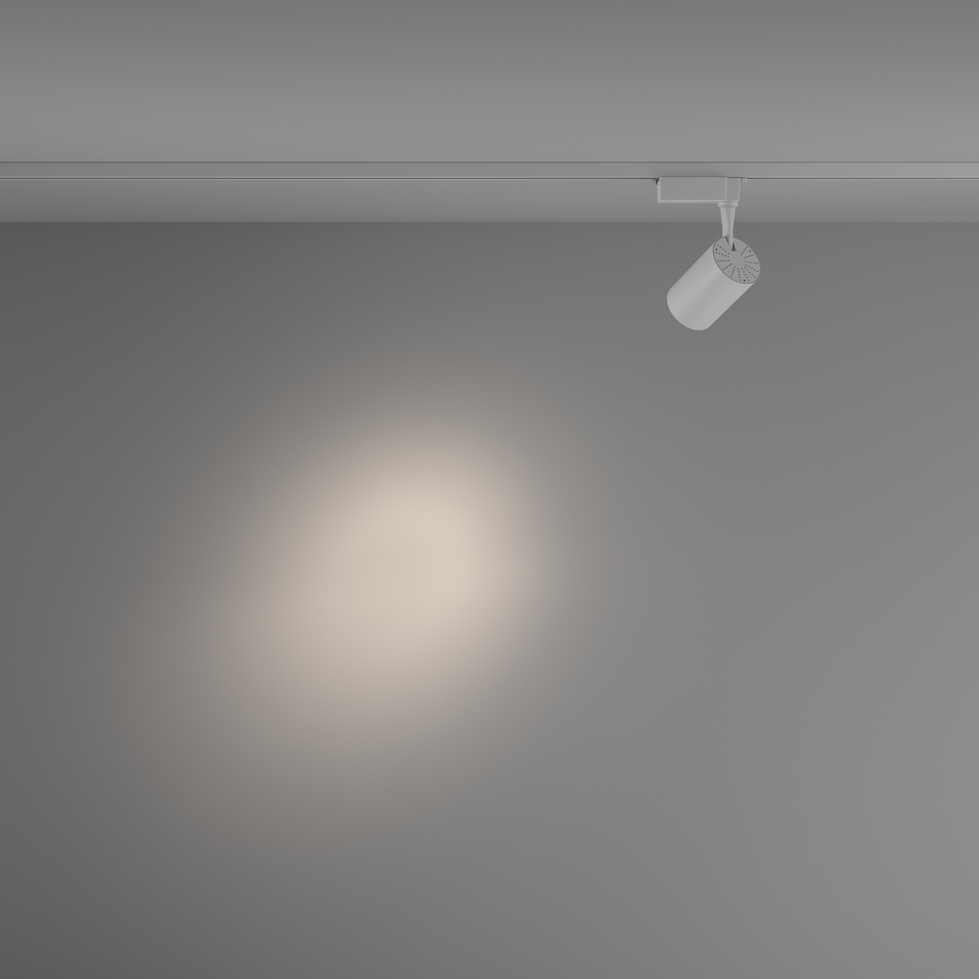 Трековый светильник Technical TR003-1-10W4K-S-W