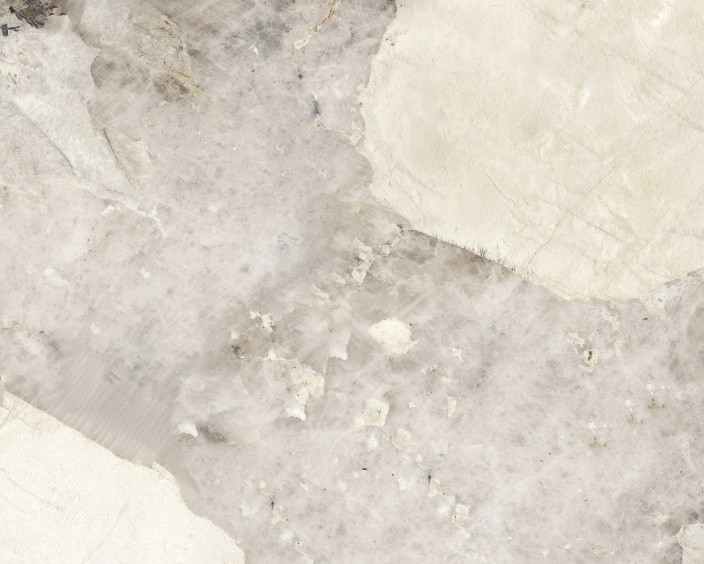 Керамогранит NT CERAMIC Infinity PATAGONIA CLASSIC NTTHS99808D