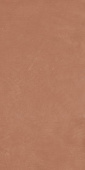 Керамогранит Argillae Coral Rect 60х120