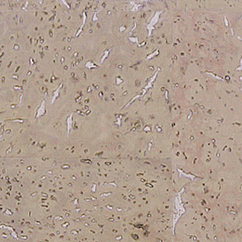 Пробковый пол Corkart Narrow Plank 4V PJ3 185w CN X - 6.0