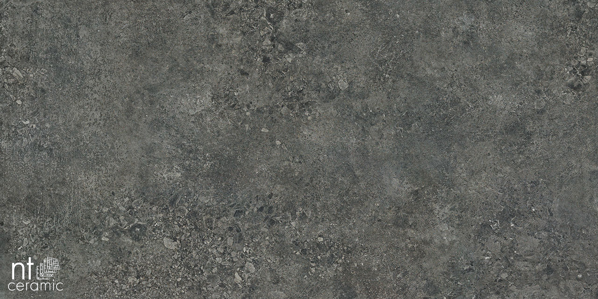 Керамогранит NT CERAMIC Terrazzo TZ612NTT9502L