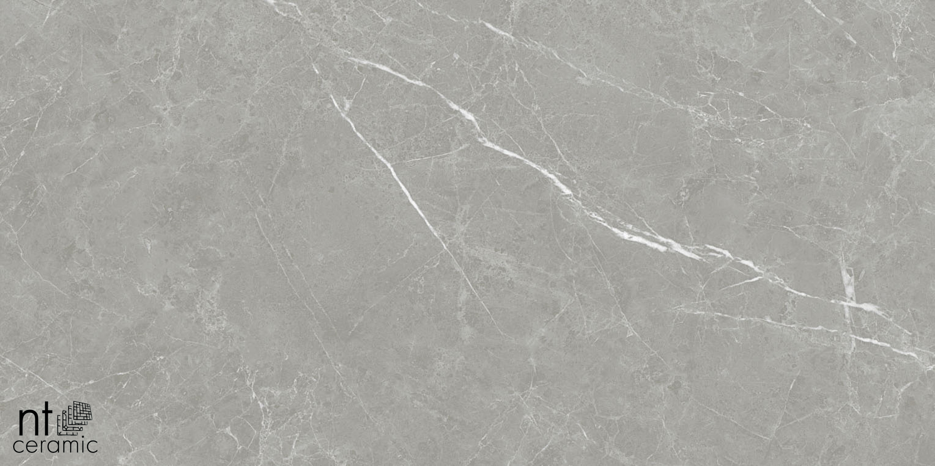 Керамогранит NT CERAMIC Pietra PT6NTT1102L