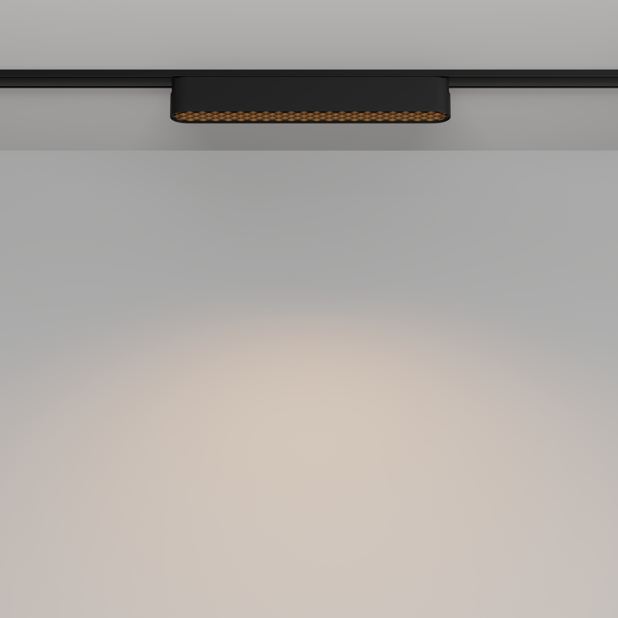 Трековый светильник Technical TR084-1-12W3K-B