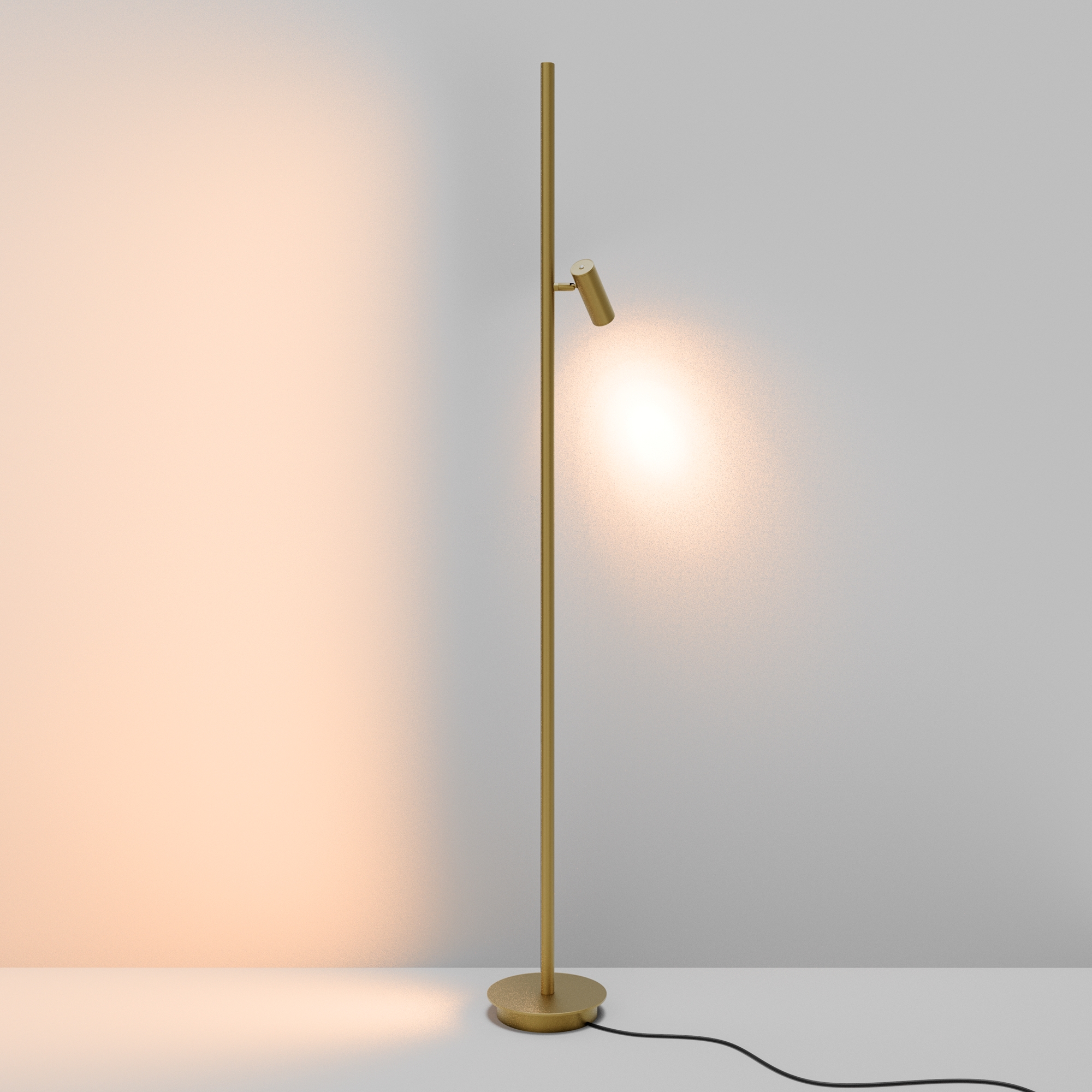 Напольный светильник (торшер) Maytoni MOD395FL-L28BS3K