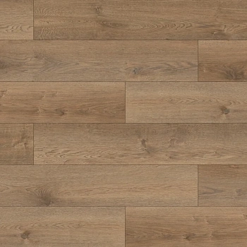 SPC Ламинат Evofloor  Home (Rus) Oak Brown