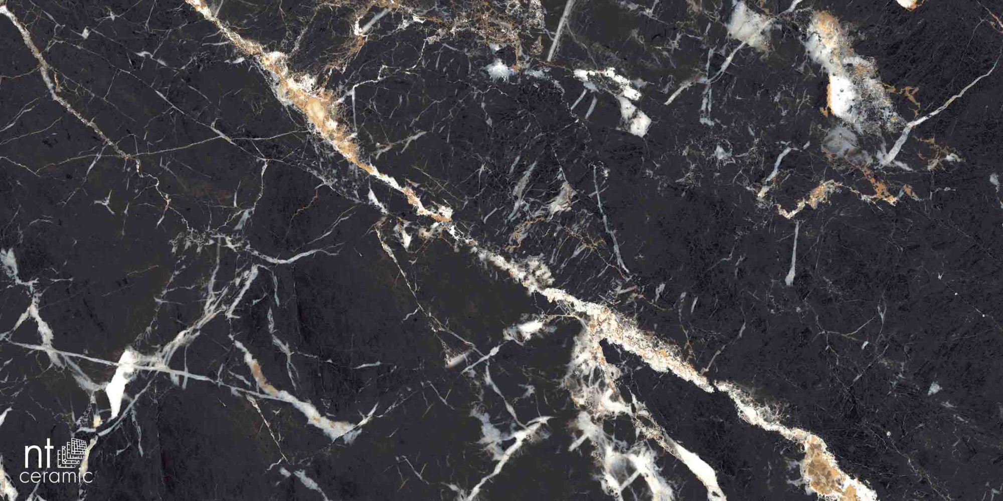 Керамогранит NT CERAMIC Marmo Black Lamos High Gloss NTT99529P