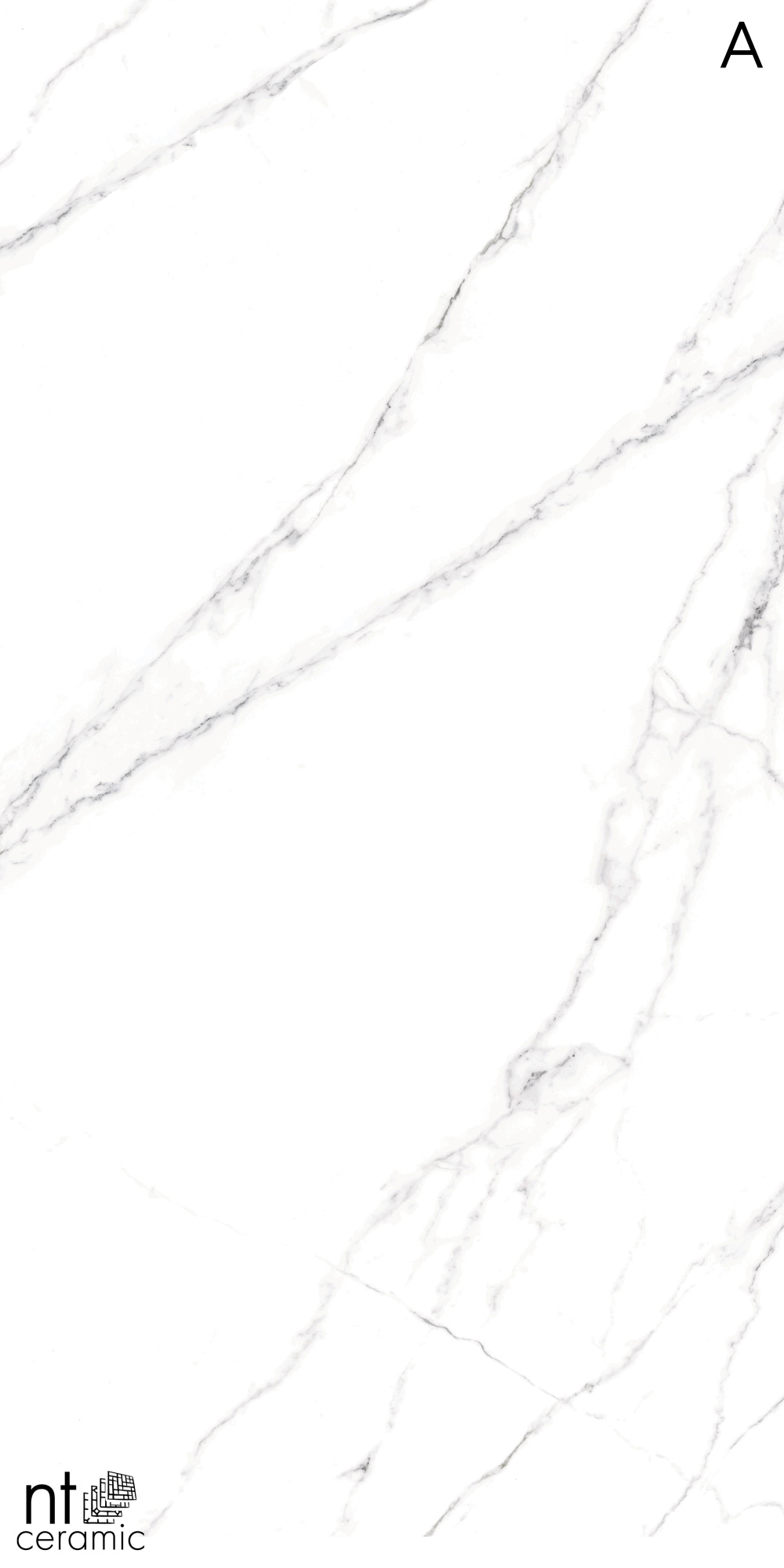 Керамогранит NT CERAMIC Atlas Home Calacatta Light NTT3506L